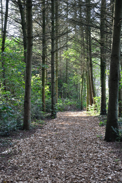 Hôtel Landgoed Huize Bergen Den Bosch - Vught à Bois-le-Duc Extérieur photo