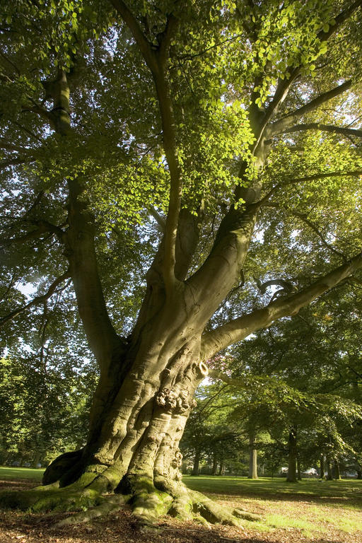 Hôtel Landgoed Huize Bergen Den Bosch - Vught à Bois-le-Duc Extérieur photo